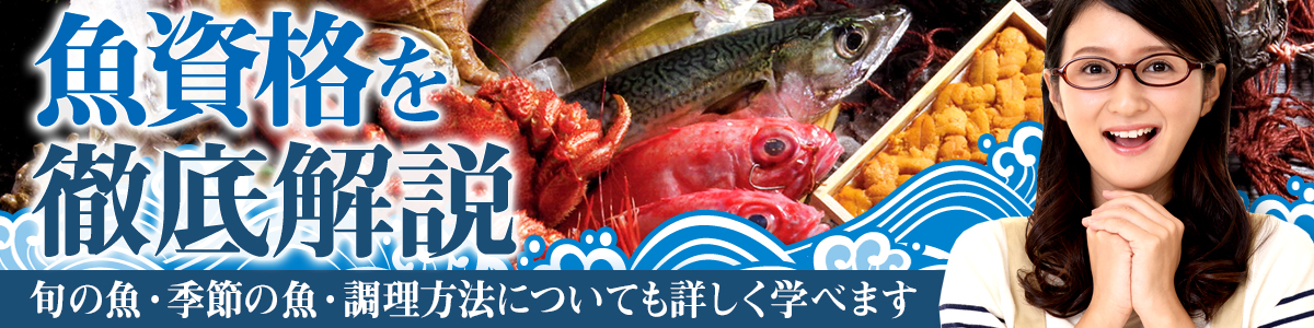 魚資格を徹底解説