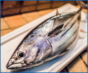 秋が旬のお魚とおいしい食べ方